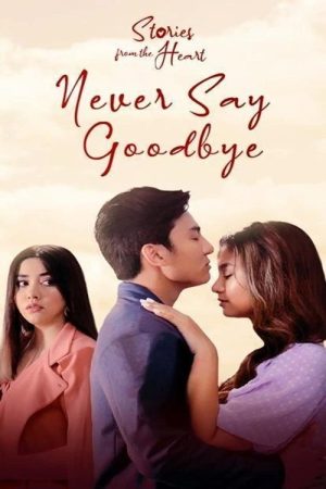 Stories From The Heart: Never Say Goodbye (2021) poster