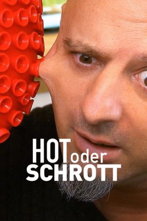 Hot oder Schrott: Die Allestester (2016) poster