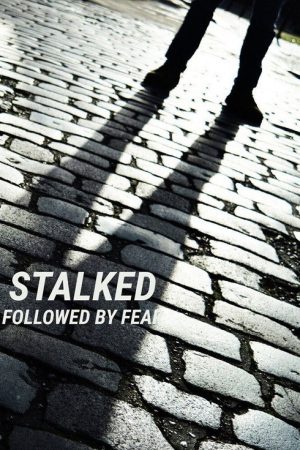 Stalked: Followed By Fear (2021) poster