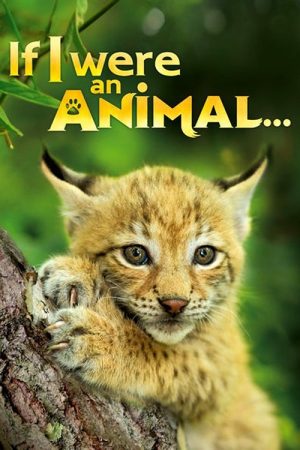 If I Were an Animal (2018) poster