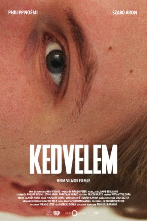Liked it (2022) poster