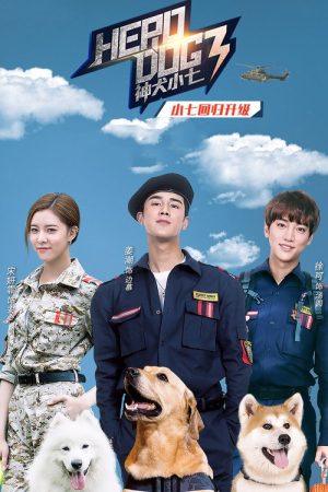 神犬小七3 (2019) poster