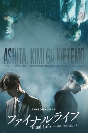 Final Life (2017) poster