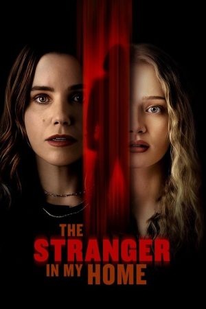 The Stranger in My Home (2025) poster
