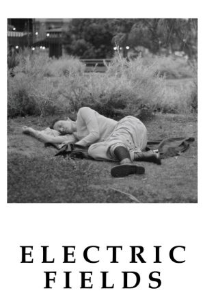Electric Fields (2024) poster