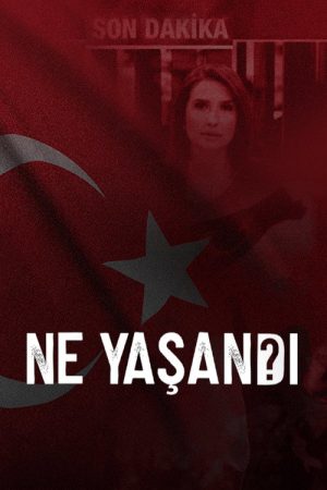 Ne Yaşandı? (2022) poster