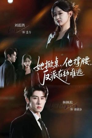 她掀桌，他撑腰，反派在劫难逃 (2025) poster