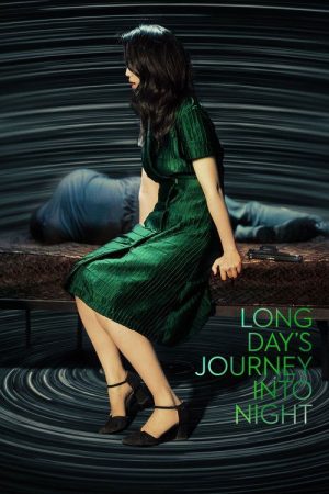 Long Day’s Journey Into Night (2018) poster