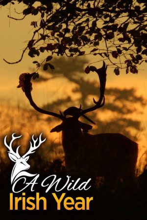 A Wild Irish Year (2018) poster