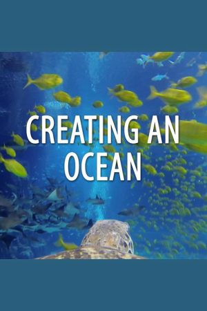Creating An Ocean (2016) poster