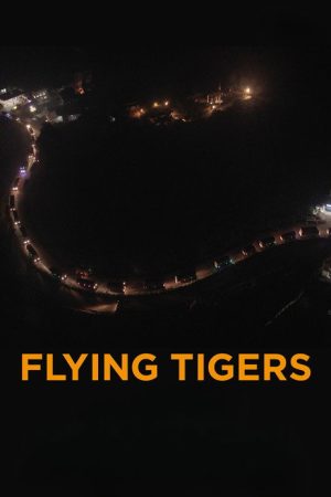 Flying Tigers (2026) poster