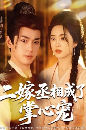 Er Jia Cheng Xiang Cheng Le Zhang Xin Chong (2025) poster