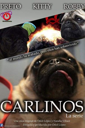 Carlinos, la serie (2017) poster