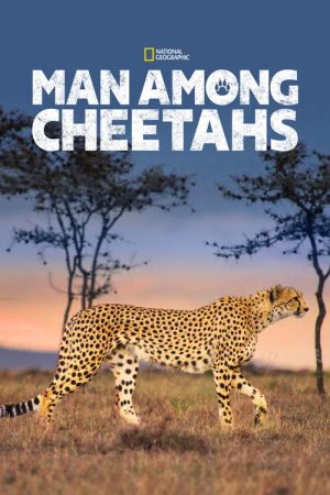 Man Among Cheetahs (2017) poster