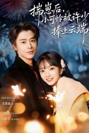 揣崽后，小可怜被许少捧上云端 (2026) poster