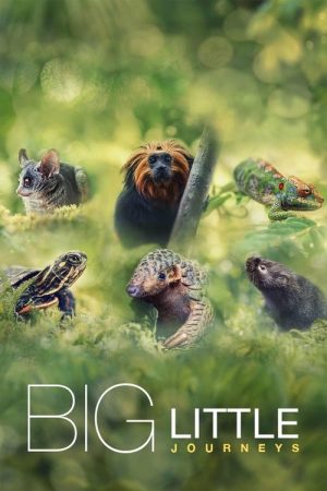 Big Little Journeys (2023) poster
