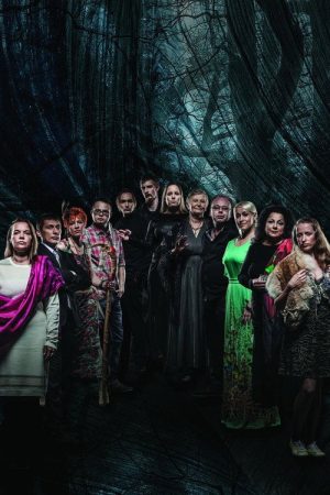 Eesti selgeltnägijate tuleproov (2016) poster