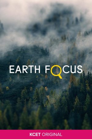 Earth Focus Shorts (2019) poster