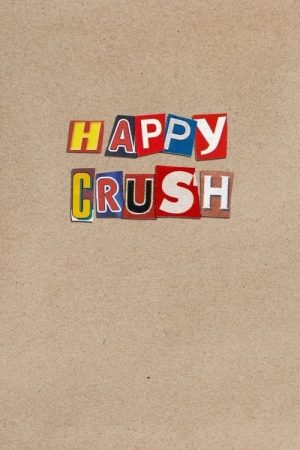 Happy Crush (2025) poster