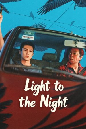 Light to the Night (2026) poster