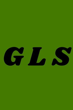 The Green Light Studishow (2026) poster