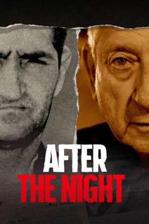After the Night (2020) poster