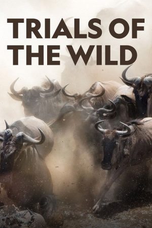 Trials of the Wild (2018) poster