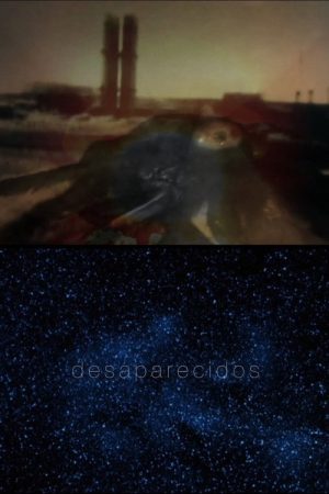 Desaparecidos (2020) poster