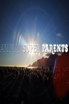 Animal Super Parents (2016) poster