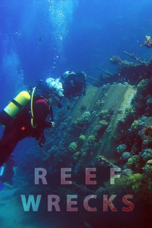 Reef Wrecks (2016) poster