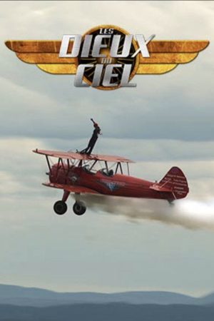 Les dieux du ciel (2017) poster