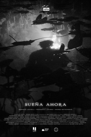 Blackout Dreams (2025) poster