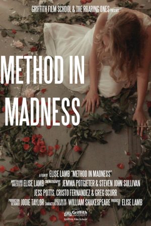 Method In Madness (2019) poster