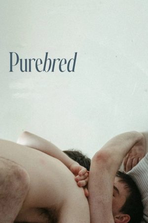 Purebred (2025) poster