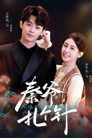 秦爷，扎个针 (2026) poster