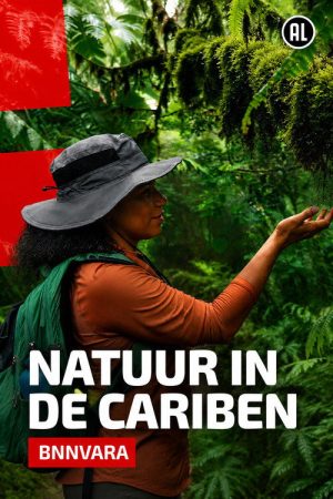 Natuur in de Cariben (2026) poster