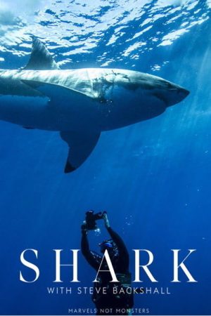 Shark with Steve Backshall (2021) poster