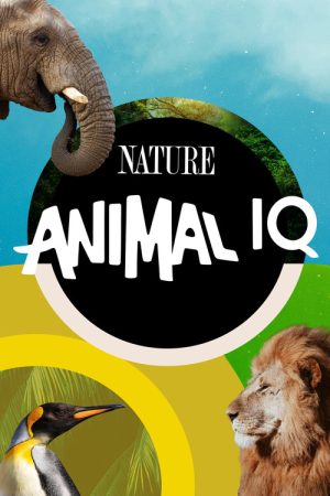 Animal IQ (2021) poster