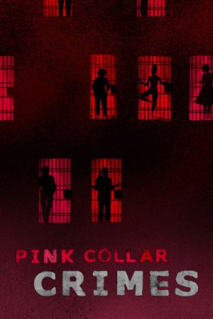 Pink Collar Crimes (2018) poster