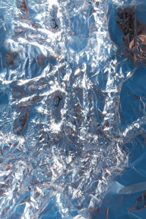 FOIL (2021) poster