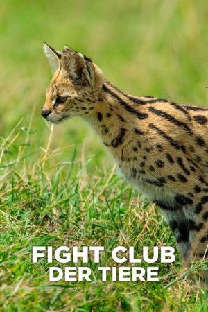 Nature’s Fight Club (2021) poster