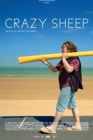 Crazy Sheep (2016) poster