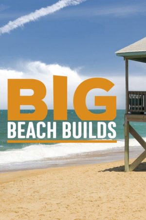 Big Beach Builds (2017) poster