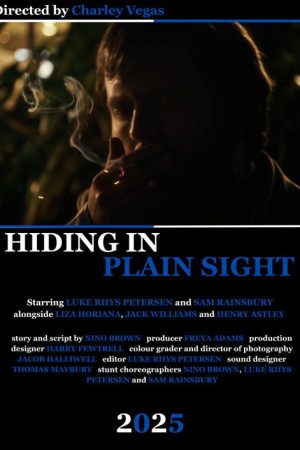 Hiding in Plain Sight (2025) poster