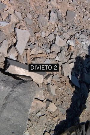 Divieto 2 (2018) poster