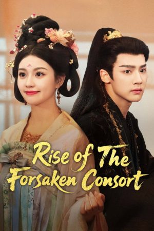 Rise of the Forsaken Consort (2025) poster