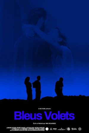 Bleus volets (2024) poster