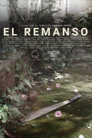 El Remanso (2020) poster