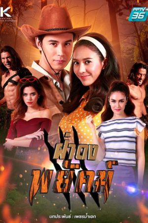 ฝ่าดงพยัคฆ์ (2019) poster