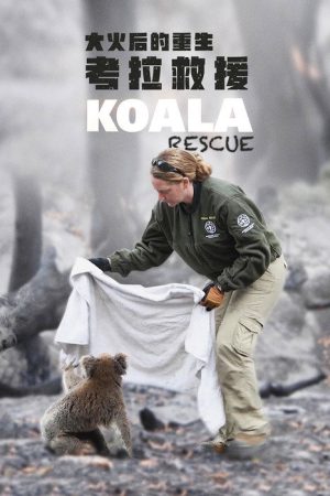 Koala Rescue (2020) poster